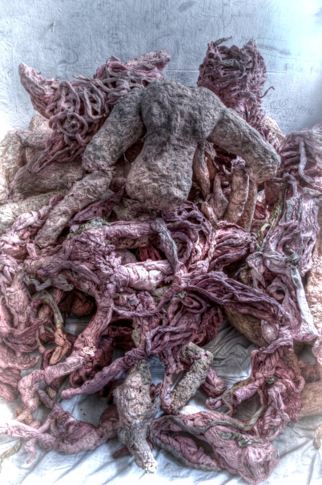 DSC_4442_tonemapped_DxO 
