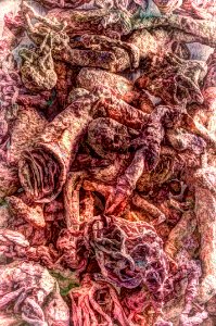 DSC_4409a_10_11_12_13_14_tonemappedAnd2more_fused 