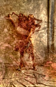 DSC_3803_4158_4162_4374_4402_4410_tonemappedAnd3more_tonem… 