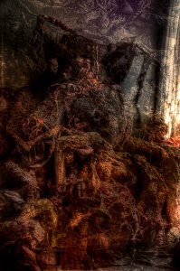 DSC_4237_371_384_414_tonemapped 