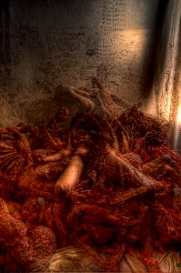 DSC_4193_194_195_199_200_202_203b_tonemapped 