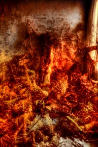 DSC_3807_4153_4205_4216_4219_4222_4225_tonemapped 