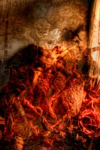 DSC_4149_159_179_222_233_tonemapped 