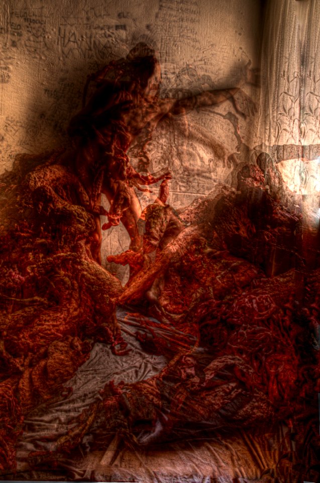 DSC_4213_15_22_26_32_33_tonemapped 