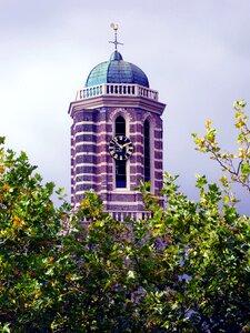 Zwolle peperbus copper roof photo