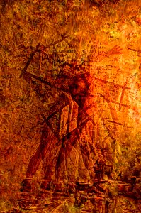 DSC_3479a_80_81_82_83_84_85_fusedAnd2more_fused 