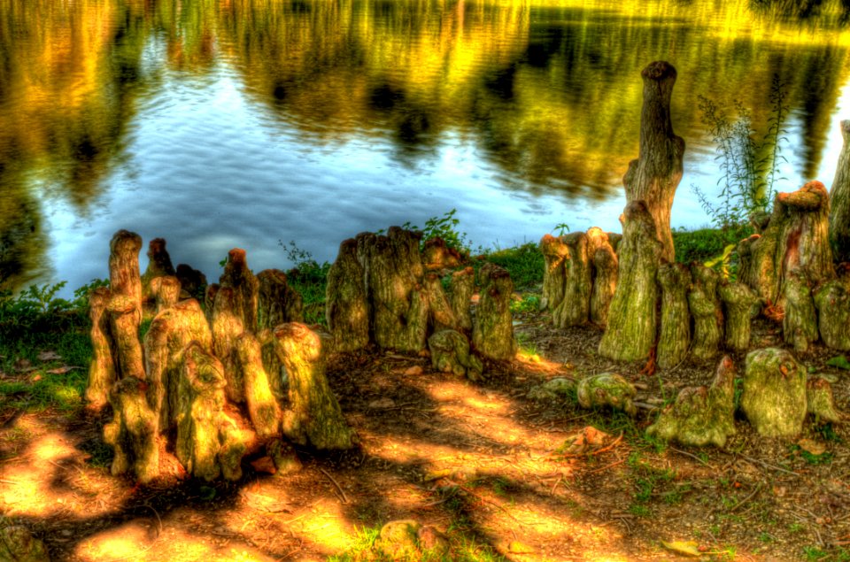DSC_2384And8more_tonemapped 