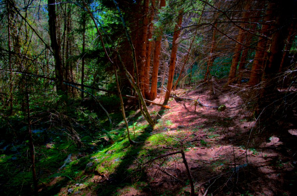 DSC_0323_4a_5_6_tonemapped 