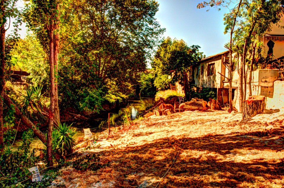DSC_2286_87_88_89_90_91_92_fused 