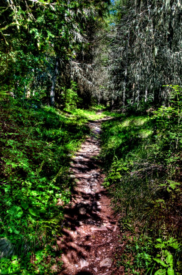 DSC_0318_19_20_21a_tonemapped 