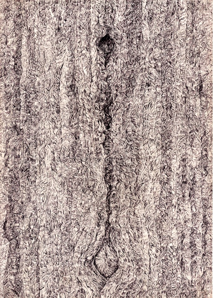 2003 