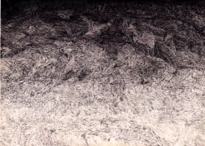 crayon à bille, 2003 