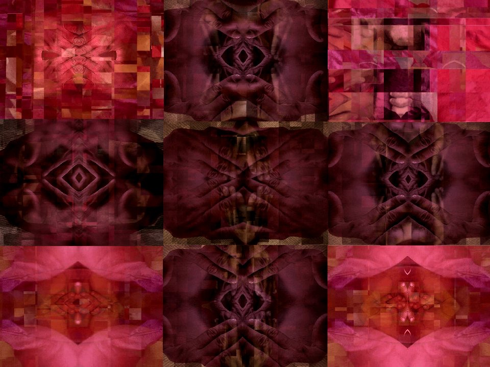 main, vidéo, 2008/2009 