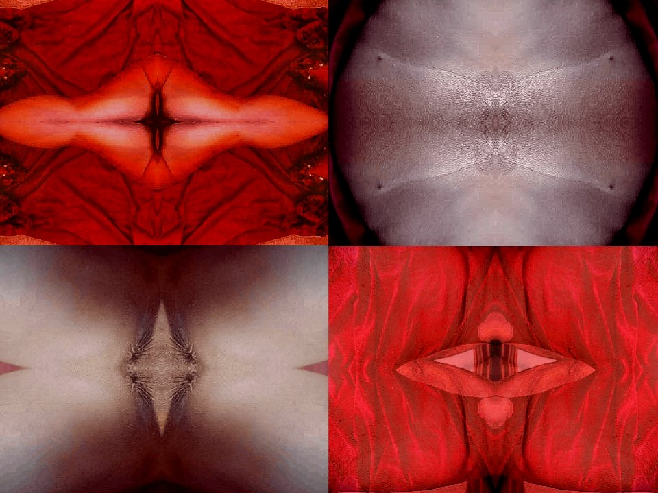 rideau, video, 2008/2009 
