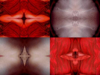 rideau, video, 2008/2009 