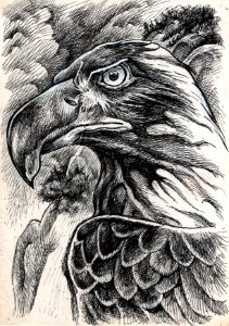 Aigle 