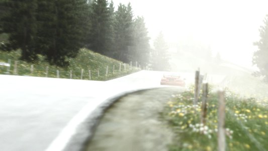 The Mist Descends. 