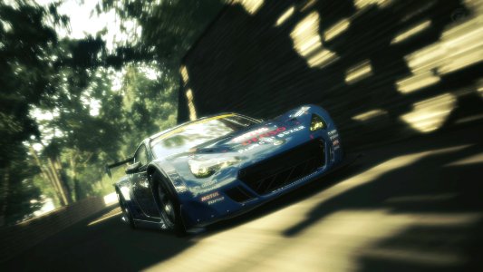 Sunlight in the shadows. 