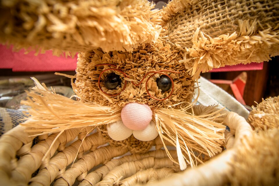 Straw hare basket cosy