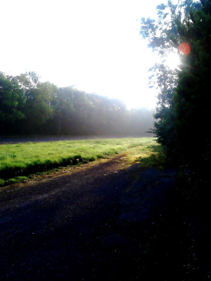 Hazy morning. 