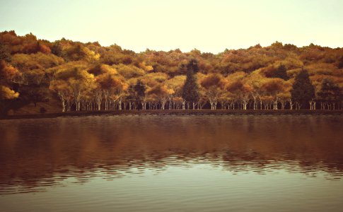 At waters edge. 