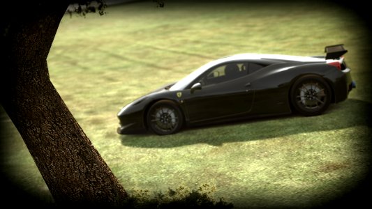 Resting under a tree 