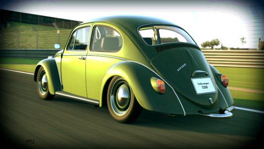 V-Dub Bug. (Edited version). 