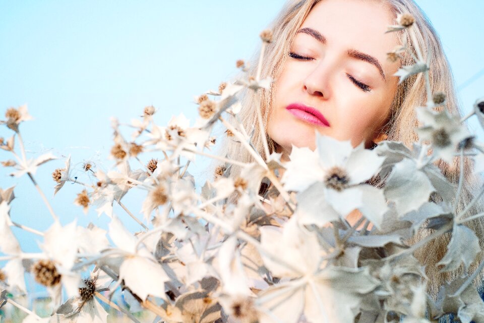 Portrait sky flowers