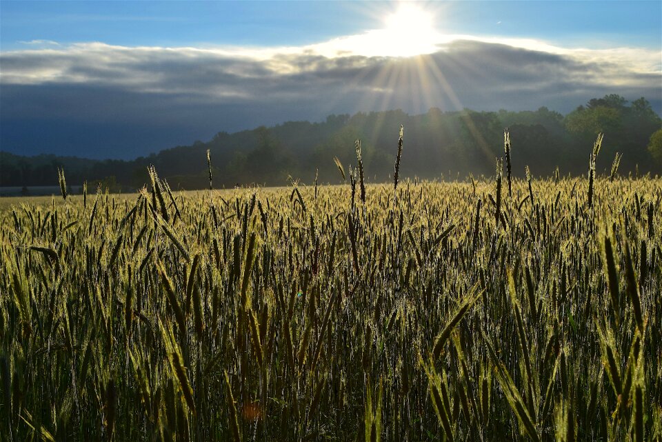 Nature sky sunlight photo