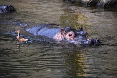 Grey water africa