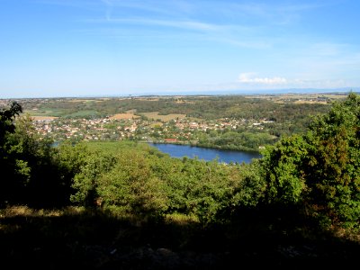 202009_0010 