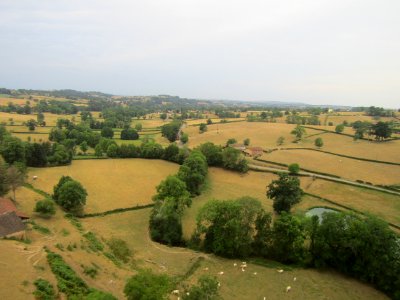 202008_0017 