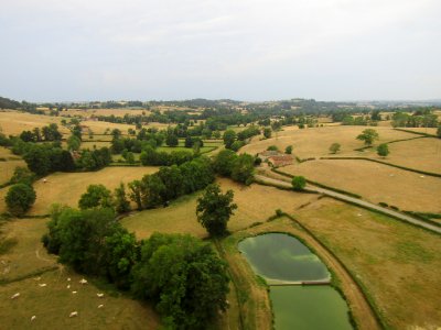 202008_0016 