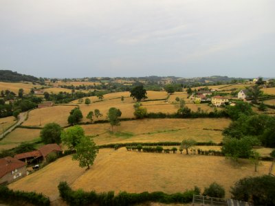 202008_0013 