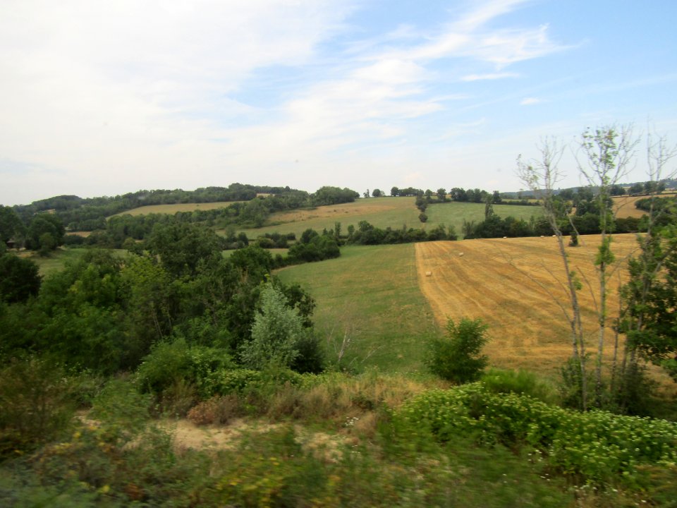 202008_0010 