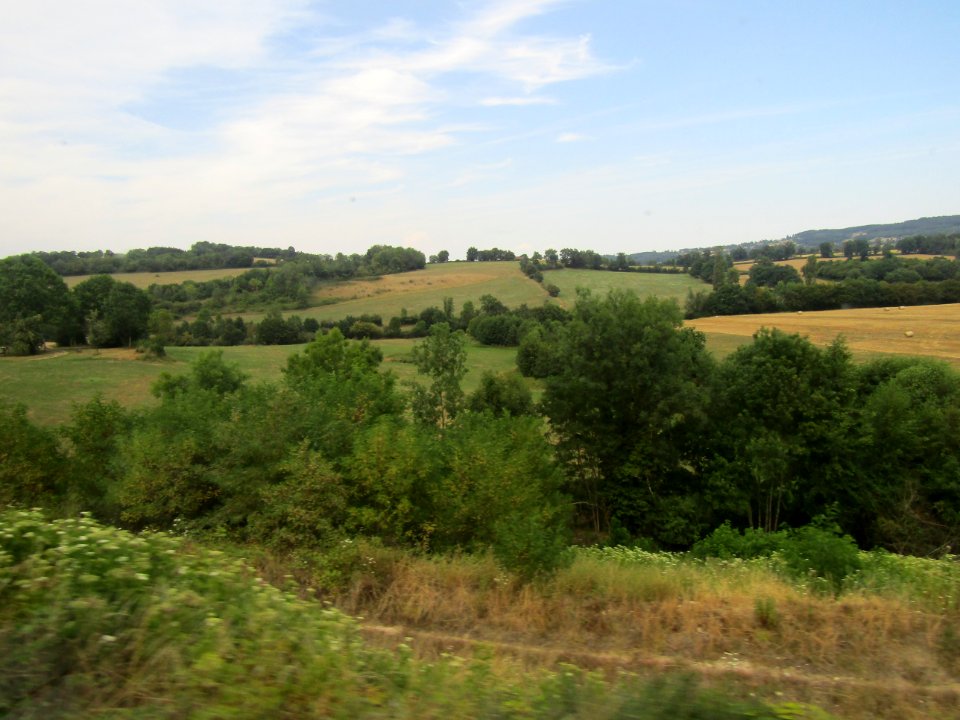 202008_0009 