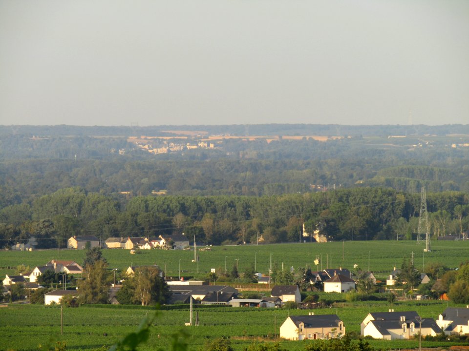 202007_0305 