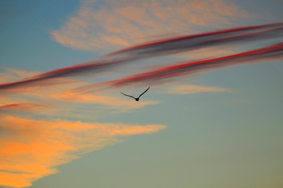 Abendstimmung clouds romance
