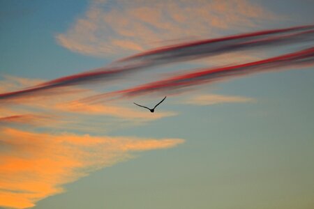 Abendstimmung clouds romance