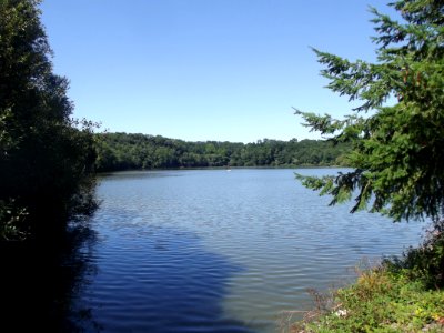 202007_0190 