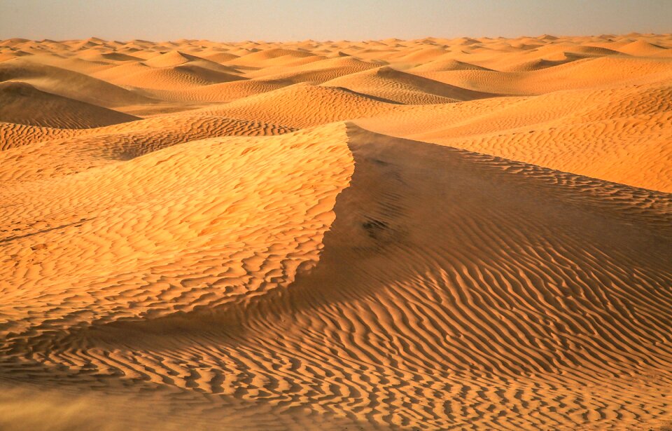 Desert tunisia sahara