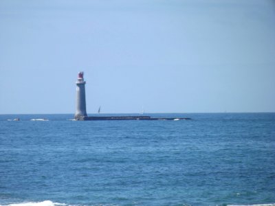 202007_0167 