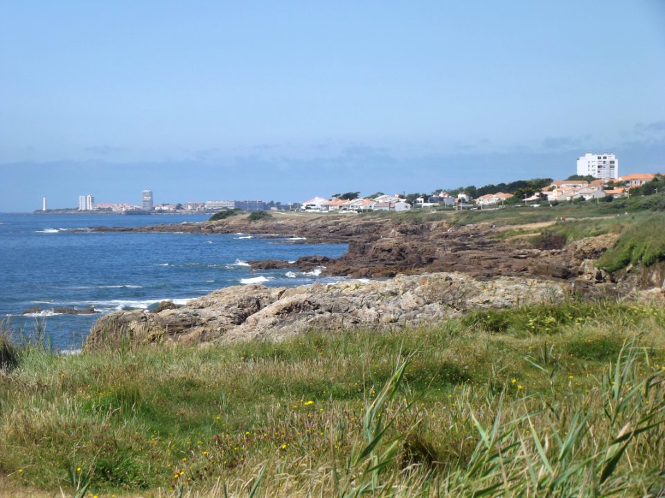 202007_0155 