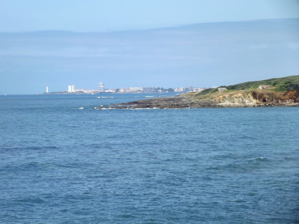 202007_0141 