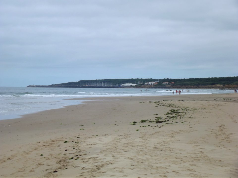 202007_0123 