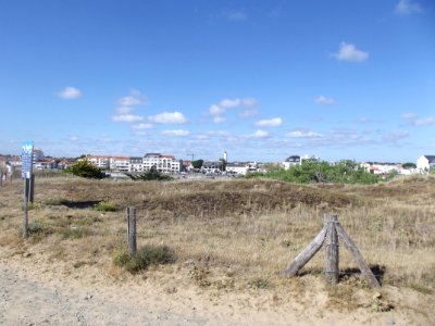 202007_0061 