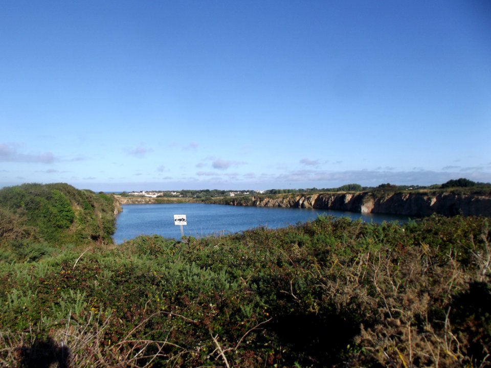 202007_0072 