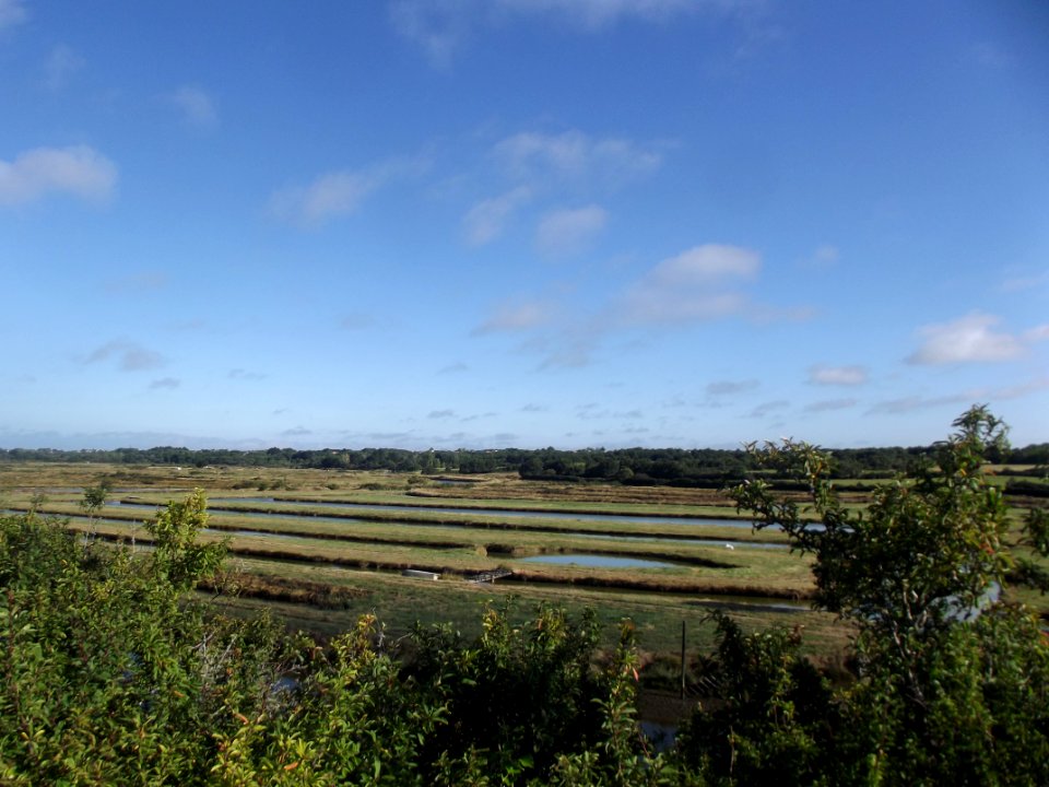 202007_0078 