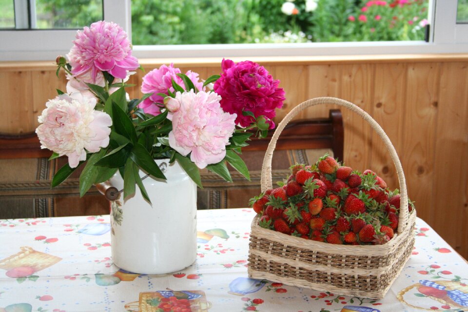 Berry strawberry composition