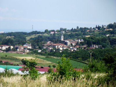 202006_0048 